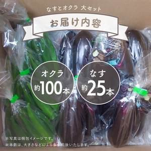 夏野菜 詰め合わせ 大セット なす おくら 野菜 茄子 ナス オクラ 産地直送 天敵栽培 【2026年7月以降順次発送】