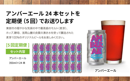 アンバーエール24本定期便（5回） クラフトビール　ビール定期便クラフトビールクラフトビールお酒定期便クラフトビールクラフトビールクラフトビールクラフトビール