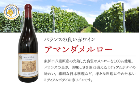 ミシュラン星獲得レストラン採用の赤ワイン【496ワイナリー】｜アマンダメルロー