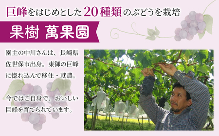 巨峰ジュース100％　1L　6本セット