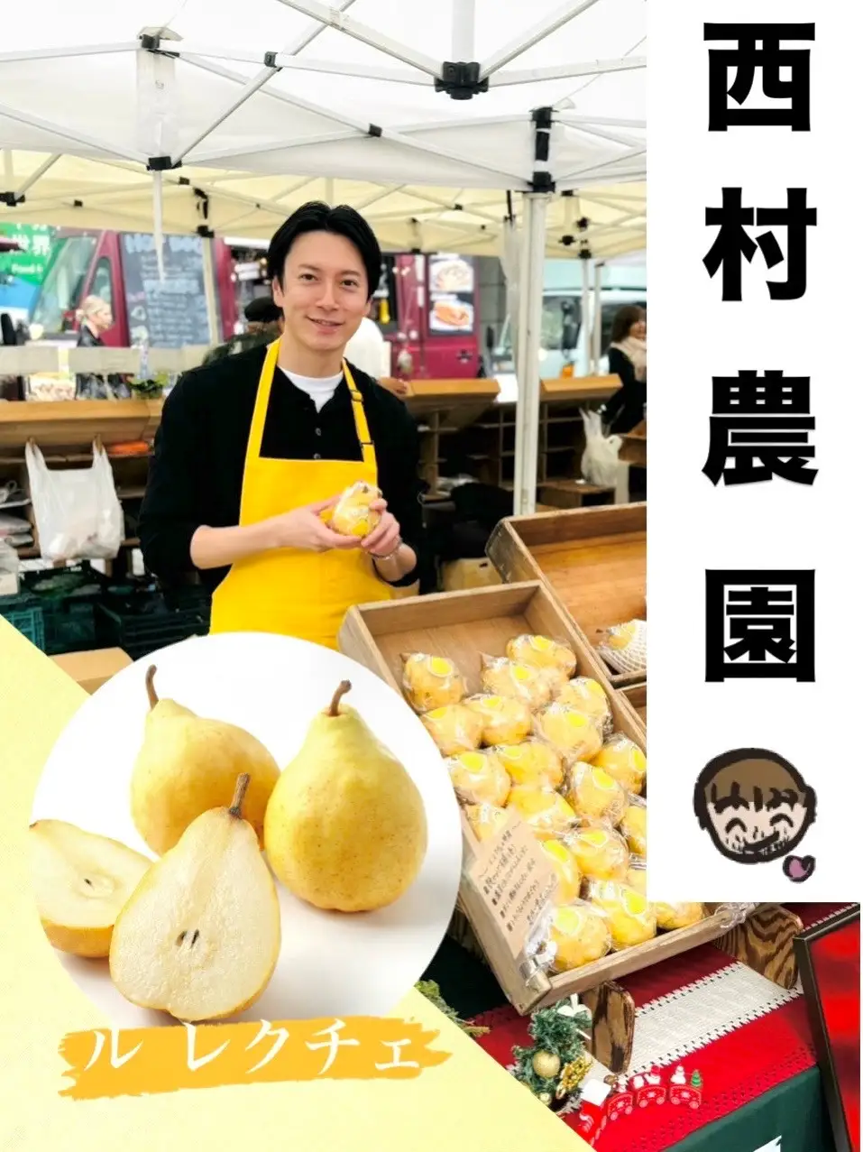 【2025年先行予約】新潟特産 幻の洋梨ル・レクチェ 約2kg 《11月下旬～順次発送》