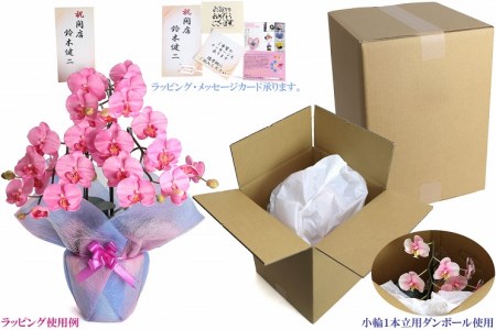 綺麗で丈夫な三河陶器で贈る光触媒胡蝶蘭小輪１本立（ピンクの陶器×桃色の花）H100-080