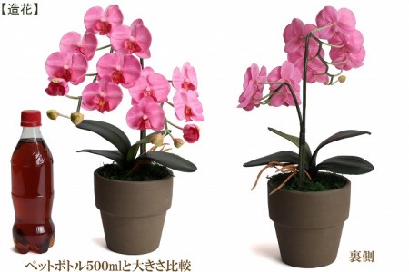 綺麗で丈夫な三河陶器で贈る光触媒胡蝶蘭小輪１本立（モカの陶器×ピンクの花）H100-082