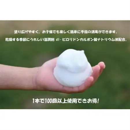 栃木県小山市　薬用 泡消毒液 あわの～る【消毒　アルコール　携帯用】　100mL×3【配送不可地域：沖縄県】【1141837】