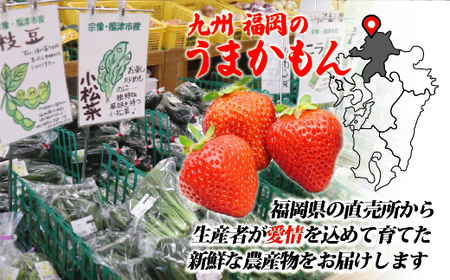 【年6回奇数月】福津・むなかた旬の野菜と果物定期便　計8品【随時開始】[H5380]