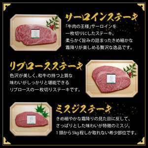 秘伝・焼肉のたれ付 九州産黒毛和牛・ステーキ食べ比べセット_大昌園 九州産 黒毛和牛 ステーキ 食べ比べ セット タレ付き サーロイン 160g リブロース 150g ミスジ 100g お肉 合計 410g 秘伝 焼肉のたれ 100ml 国産 牛肉 肉 冷凍 お取り寄せ お取り寄せグルメ 福岡県 久留米市 送料無料 〔Ab101〕