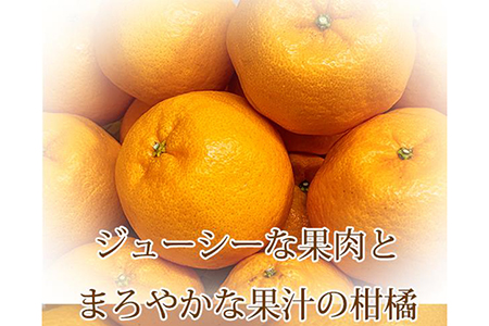 紀州和歌山有田産ポンカン 5kg