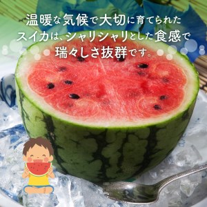 【0269-2】農園直送！原出さんの小玉スイカ（ひとりじめ）《先行予約》【2026年6月下旬頃から順次発送予定】【配送不可地域：北海道、沖縄、離島等】