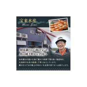 知床羅臼産 貝付ホタテ　（2枚ｘ5パック）｜ほたて