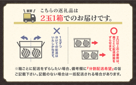 尾花沢産小玉すいか スイカ 4Lサイズ×2玉 令和8年産 ja-suk4x2