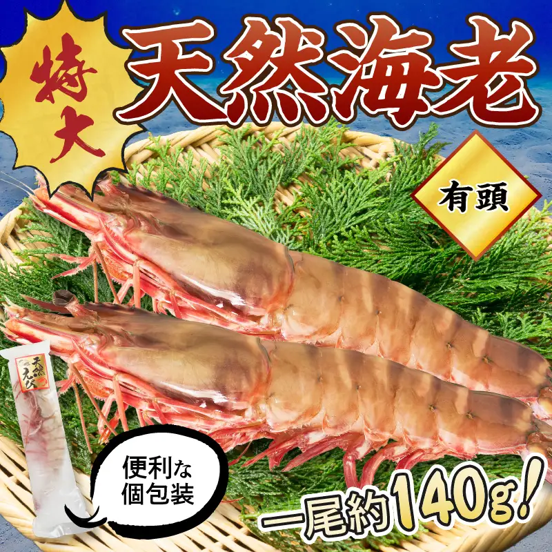 特大 天然海老(有頭･2尾)【A9-023】