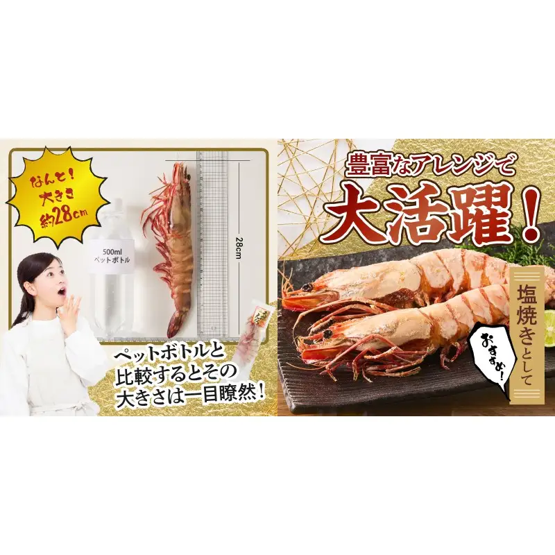 特大 天然海老(有頭･4尾)【C8-021】
