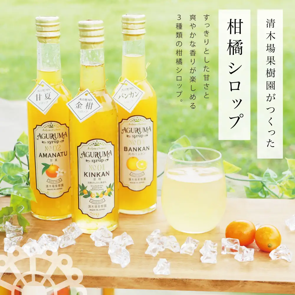 柑橘シロップ 3本セット＜金柑・甘夏・河内バンカン＞［3種類］きんかん キンカン 河内晩柑 ドリンク ジュース 炭酸割り ハイボール カクテル かき氷 ヨーグルト アイス パンケーキ ギフト 贈答 清木場果樹園 鹿児島県 南さつま市
