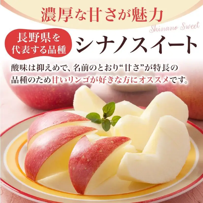 りんご シナノスイート 秀品 約5kg 12～20玉入 長野県産 果物類 林檎  リンゴ フルーツ 