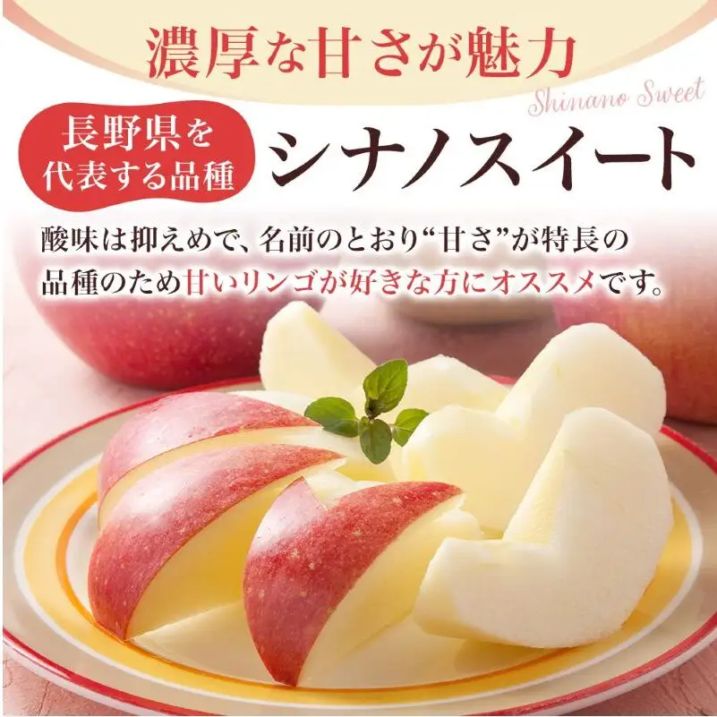 【先行予約】令和8年度産 訳あり りんご シナノスイート 約10kg 24～40玉入 家庭用 フルーツ 果物 甘い 訳あり おいしい 林檎