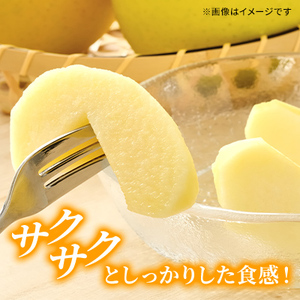 【先行予約】令和8年度産 訳あり りんご シナノゴールド 約10kg 28～40玉入 フルーツ 果物 甘い 訳あり 林檎 リンゴ