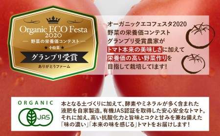 《令和7年産先行予約》有機大玉トマト 調理用イタリアントマト 有機JAS認定 合計2.5kg[Q633] syun9