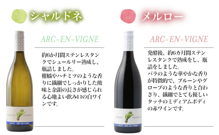 【アルカンヴィーニュ】定番ワイン 赤白2本セット (シャルドネ・メルロー)