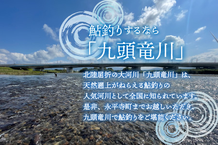 九頭竜川 鮎年間遊漁券（2026年）【申込用紙：2026年5月以降順次発送予定】/ あゆ アユ 鮎 鮎釣り 釣り アユ釣り 体験 フィッシング 川釣り 釣り券 年間パス 釣り体験　[E-001001]　