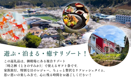 旅行 静岡 時之栖 グループ ギフト券 3,000円分 1万円寄付コース チケット 券 観光