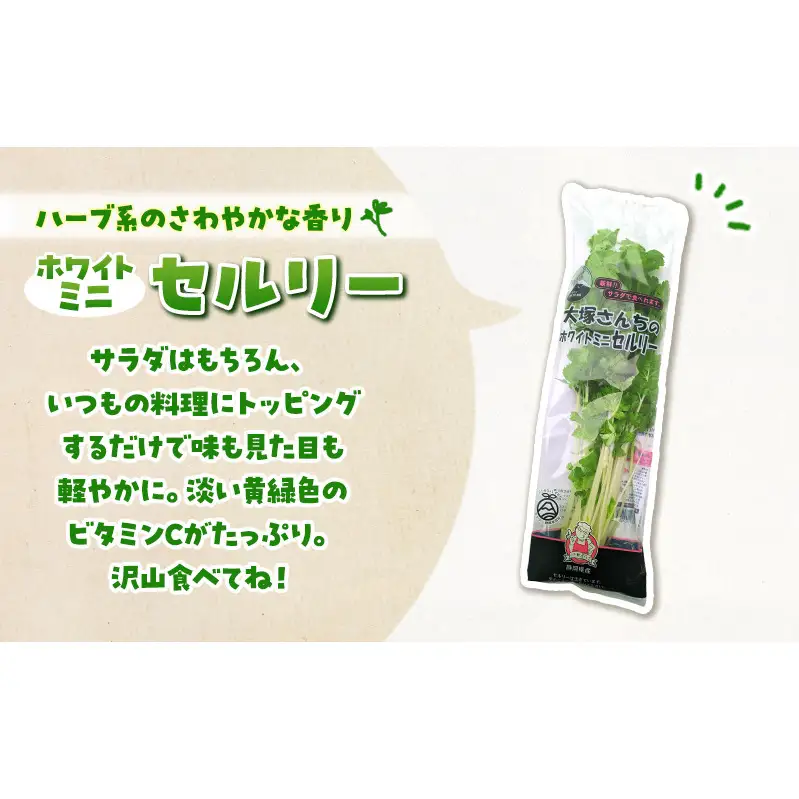 ホワイトミニセルリー 14袋 ＆ サラダほうれん草 10袋 計24袋セット 野菜 詰め合わせ セロリ ミニセロリ ほうれんそう 新鮮 産地直送 野菜セット 食べ比べ 詰合せ 大容量 業務用 まとめ買い