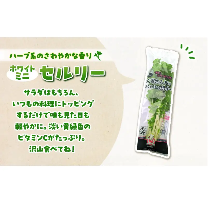 ホワイトミニセルリー 15袋入り 野菜 詰め合わせ セルリー セロリ ミニセロリ 新鮮 産地直送 大容量 業務用 まとめ買い 野菜セット ギフト 詰合せ 常備野菜