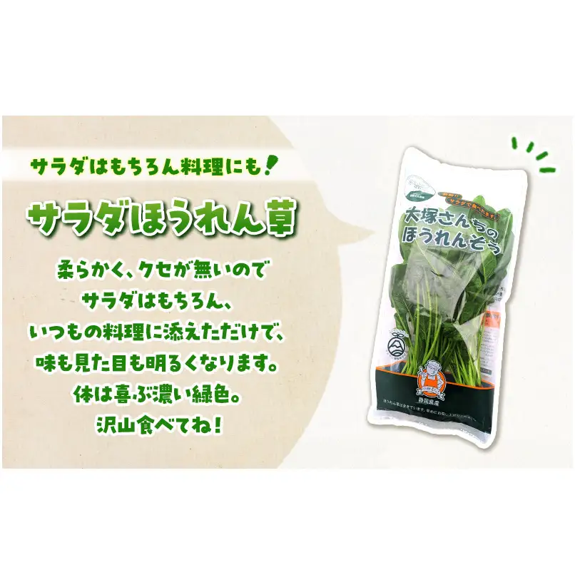 サラダほうれん草 44袋 野菜サラダセット 詰め合わせ ほうれんそう ホウレン草 新鮮 産地直送 大容量 業務用 まとめ買い 野菜セット ギフト 詰合せ 常備野菜