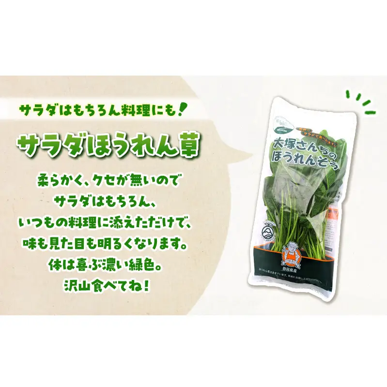 サラダほうれん草 22袋 野菜サラダセット 詰め合わせ ほうれんそう ホウレン草 新鮮 産地直送 大容量 業務用 まとめ買い 野菜セット ギフト 詰合せ 常備野菜