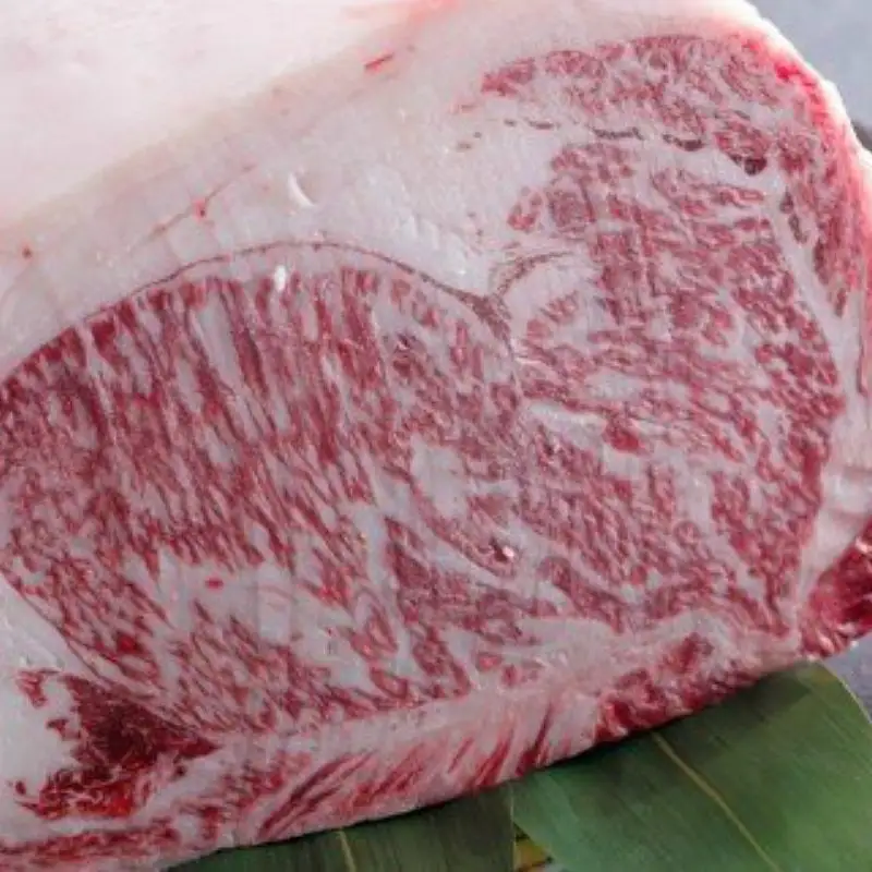 ★☆贅沢なお肉を心ゆくまで☆★最高級志方牛厳選プラン！！《牛肉 志方牛 志方亭 焼肉 バーベキュー BBQ 和牛》【2499A00402】