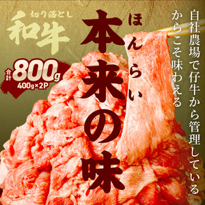 「和牛」切り落とし(400g×2パック)〈 和牛 切り落とし 800g 志方亭 焼肉 肉 牛肉 小分け 冷凍 国産 送料無料 贈答用 美味しい お得 お取り寄せ 肉 ギフト プレゼント おすすめ 〉【2401A00403】