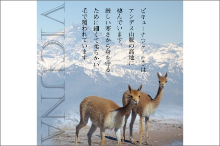 ニッケビキューナ混毛布（毛羽部分）【2499N05119】