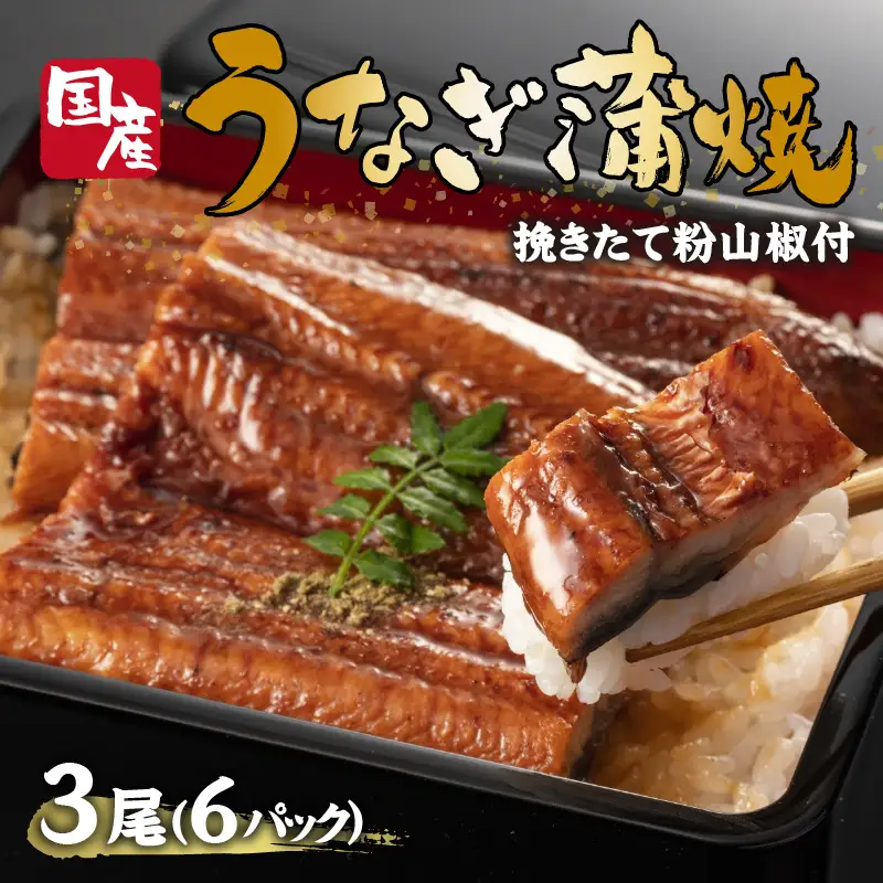  鰻の蒲焼き3尾(6パック)たれ別・挽きたて粉山椒付《ふっくら 焼きたて うなぎ蒲焼き お茶漬け ひつまぶし》【2403D05601】