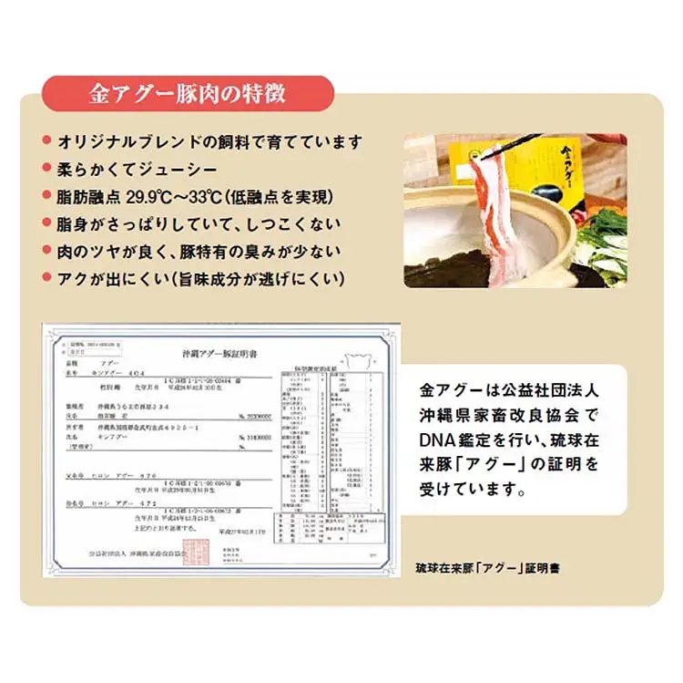 沖縄県産　金アグー　「ソーセージ」960g（48本入り）