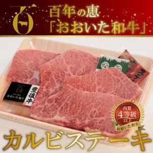 百年の恵み『おおいた和牛』づくし定期便 T10005