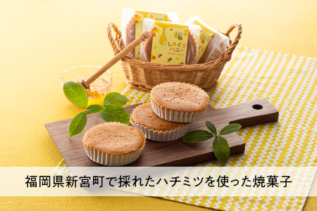 ZH141.しんぐうハニー（６個入）
