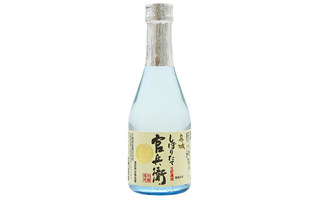 日本酒 【最短翌日～5営業日以内発送】日本酒ずらり 300ml × 12本 6種 飲み比べ セット 名城酒造 飲み比べセット 冷酒 熱燗 純米酒 大吟醸 地酒 お酒 酒 清酒 300 家飲み 日本酒セット ミニボトル ミニ 播州 兵庫 兵庫県 姫路市