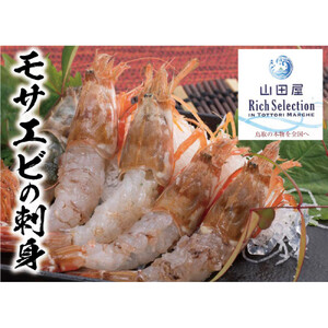 鳥取県産 生食用もさ海老 山田屋