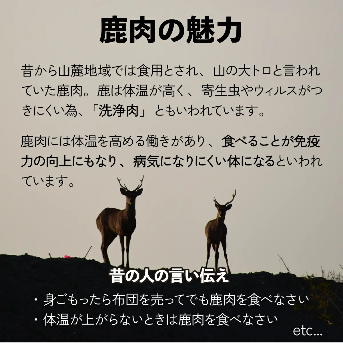 登別産エゾシカジンギスカン