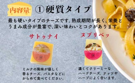 酪農館　チーズセット　チーズ 6個 生ハム 100g nr-0196
