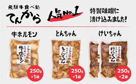 白川郷 自家製 ホルモン けいちゃん とんちゃん セット 計1kg（250g×3種4個セット） 国産牛 豚 鶏肉 郷土料理 味噌漬け 味付き BBQ バーベキュー 自家製 簡易梱包 訳あり 訳アリ てんから 10000円 [S465]
