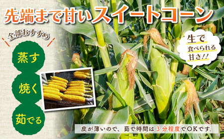 【先行受付2026年発送】東御市産とうもろこし8本｜フルーツみたいなイエロースイートコーン(ゴールドラッシュ又はプレミアム未来)　※2026年7月中旬頃～9月上旬頃お届け予定※着日指定不可