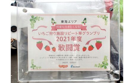 ストロベリーノ下田いちご狩り券2名様（スタンダードプラン） 体験チケット チケット 