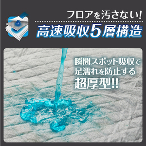 ペットシーツ ネオシーツ 超吸収DX ワイド 8パック トイレシーツ ペットシート 活性炭 カーボン 消臭 超吸収 犬 トイレ システムトイレ ペット用品 ペット 日用品 消耗品 コーチョー 富士市 [sf002-093]