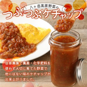 八ヶ岳高原野菜つぶつぶケチャップ４本セット [h120]