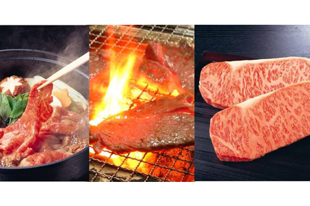 A5-A4 山形牛メス牛食べつくし 肉パーティーセット F2Y-1755