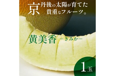 メロン／果物【先行予約／数量限定100】希少品種 黄美香（きみか）メロン 1玉（2026年7月下旬～発送）限定メロン ※メロン　フルーツ・メロン1玉・果物