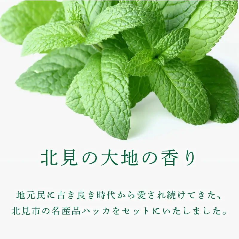 ハッカ油スプレー11.5ml 1本と詰替リフィル1本 ( ミント スプレー 消臭スプレー 携帯用 詰替え 薄荷 消臭 リフィル 爽快 アロマオイル 天然由来 マスク ハンカチ 爽快感 キャンプ ゴルフ 釣り アウトドア )【007-0047】