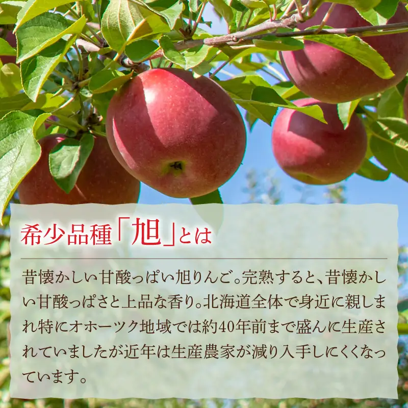 コンフィチュール3種とりんご酢2本 ( りんご コンフィチュール リンゴ酢 酢 フルーツ 果実酢 アイス ヨーグルト ドレッシング )【044-0012】