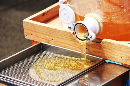 2025年採蜜 とみやはちみつ 120g×3個セット [0283]