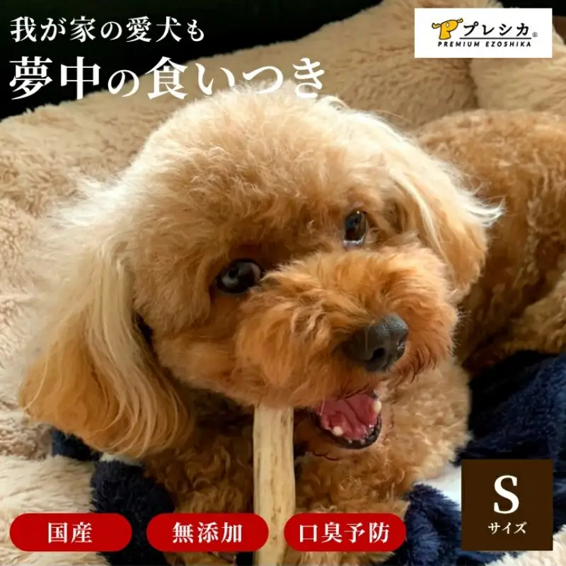 鹿の角 犬のおもちゃ ペット用 Sサイズ ( ペット おもちゃ 鹿 角 )【079-0013】